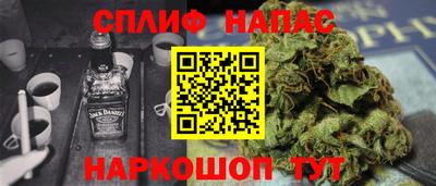 гашик Бузулук