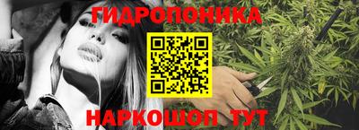 прущие крисы Керчь