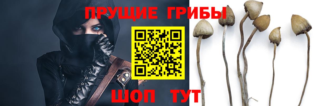 Псилоцибиновые грибы Magic Shrooms  Галлюциногенные грибы GOLDEN TEACHER  Вход с VPN  Соликамск 